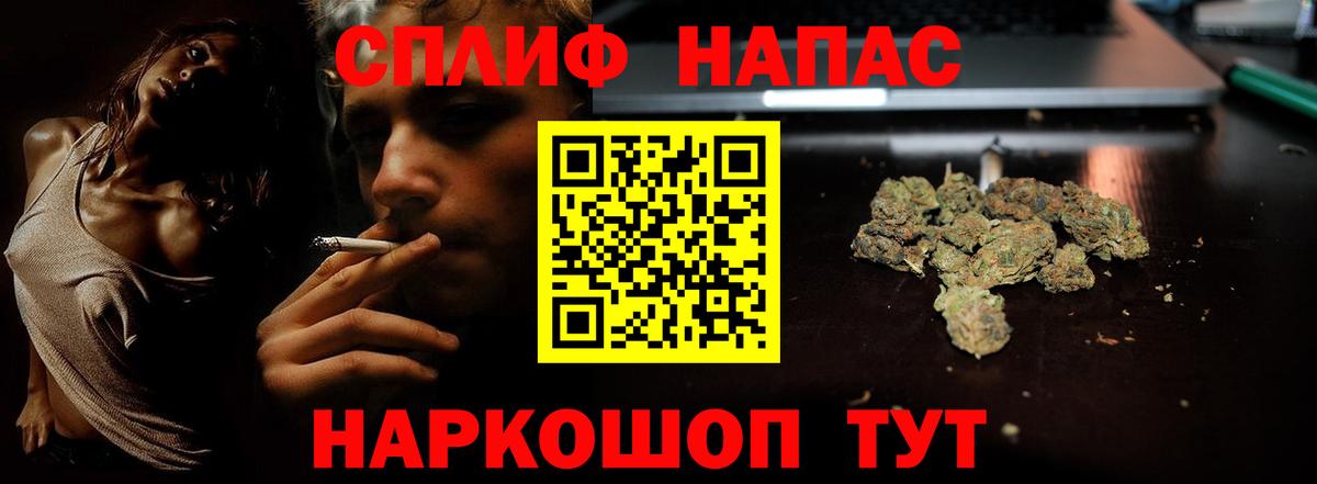 Канабис семена  Вход с VPN  Канабис план  Марихуана SATIVA & INDICA  Новозыбков 